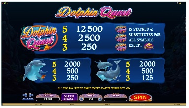 Dolphin S Quest payout