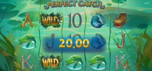 Perfect Catch 