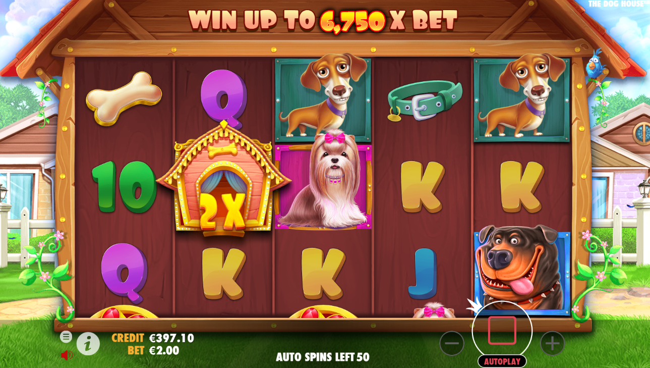 The dog house играть демо