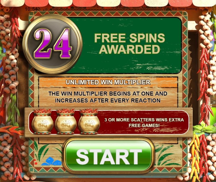 24 free spins won