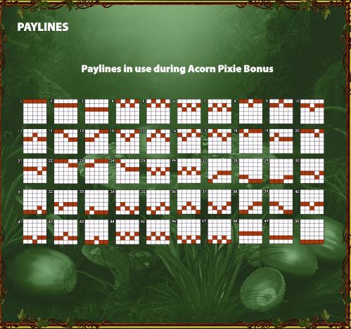 Paylines in Bonus game