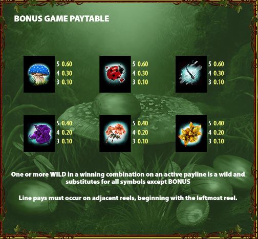 Bonus game pay table 2