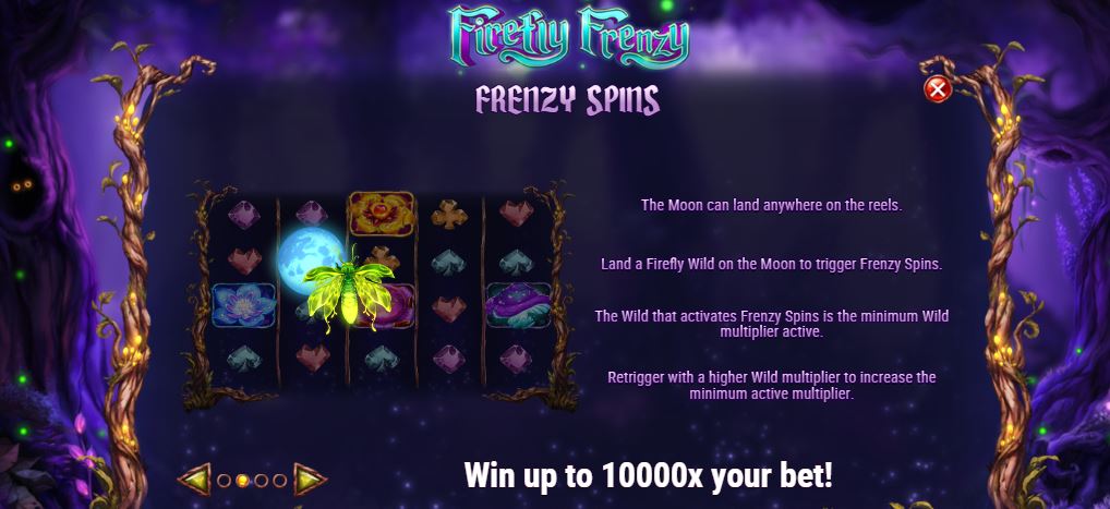 Firefly Frenzy