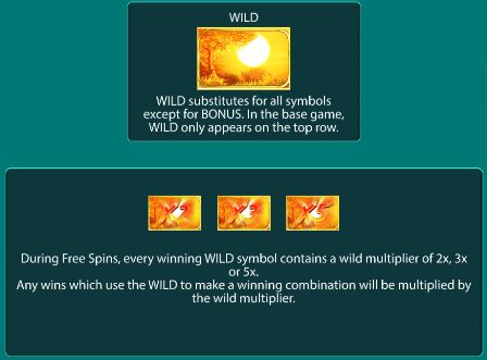 Raging Rhino Wilds