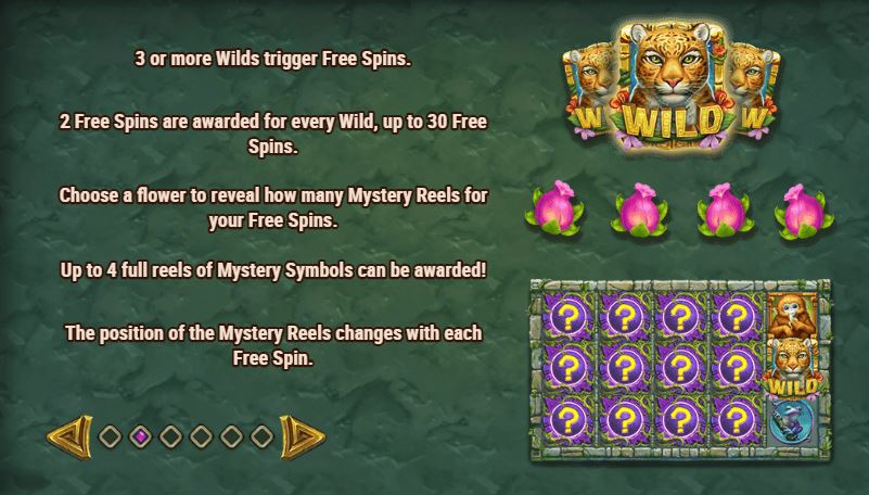 rainforest magic bonus and free spins