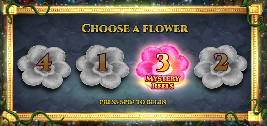 rainforest magic flower opening