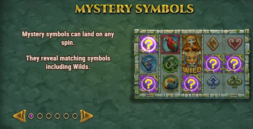 rainforest magic mystery symbols