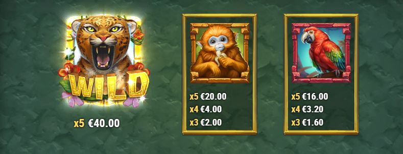 rainforest magic top paytable